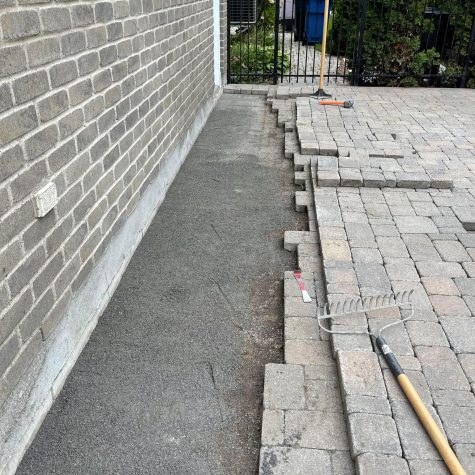 338930436_246423291378324_5581221571324864144_n